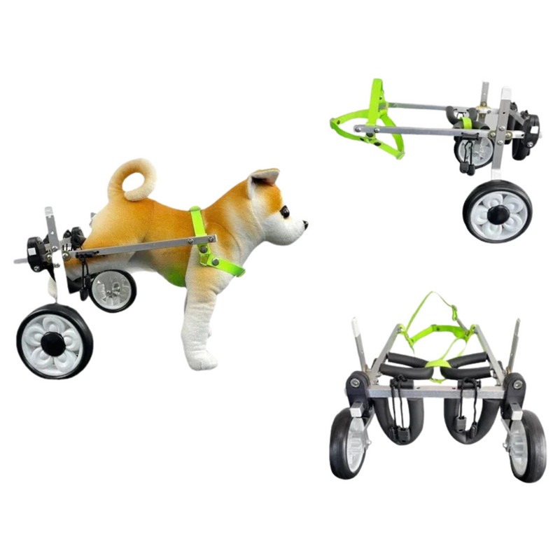 Cadeira de Rodas para Cães com Mobilidade Reduzida - Proporcione Conforto e Liberdade