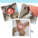 Alimentador Prático com Bicos para Filhotes de Gatos e Cachorros