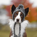 Gorro de Inverno com Capuz para Cachorros – Conforto e Estilo para Seu Pet