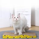 Arranhador Ondulado para Gatos: Conforto e Diversão em Cada Rasgadinha