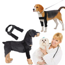 Joelheira Confortável para Articulação das Patas Dianteiras de Cachorros