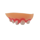 Dentadura Divertida para Cachorros na Festa de Halloween