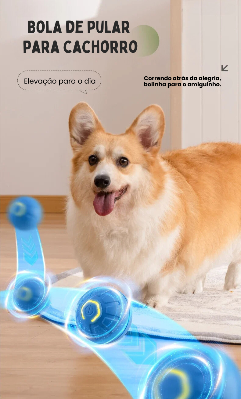 **Brincadeira Inteligente e Interativa para Pets com Revestimento em Silicone**