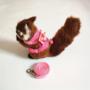 Peitoral Confortável para Roedores Pequenos: Hamsters e Porquinhos da Índia em Liberdade