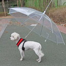 Coleira Translucida Invertida Com Guia Para Seu Pet: Conforto e Proteção em Dias Chuvosos