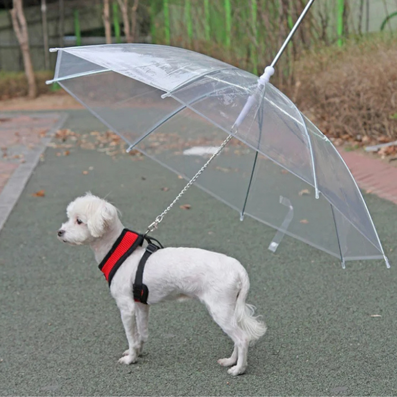 Coleira Translucida Invertida Com Guia Para Seu Pet: Conforto e Proteção em Dias Chuvosos