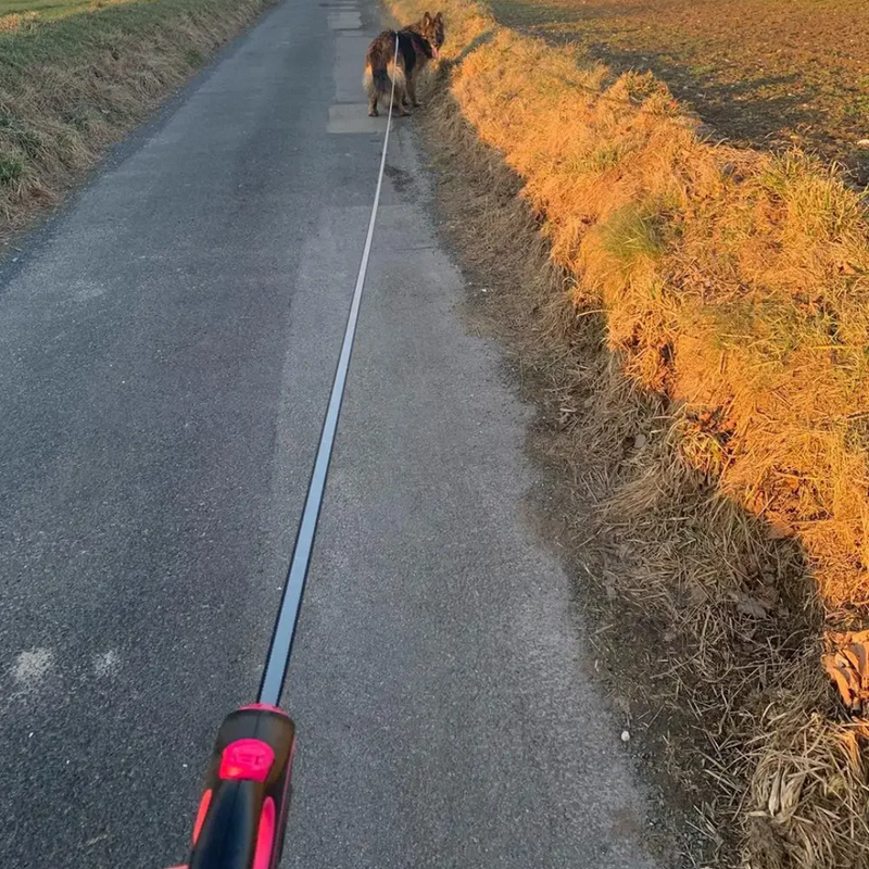 Guia Retrátil Reforçado para Cães e Gatos – Liberdade e Conforto em Cada Passeio