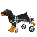 Cadeira de Rodas para Cachorros: Suporte Completo com 2 ou 4 Rodas para Liberdade e Conforto
