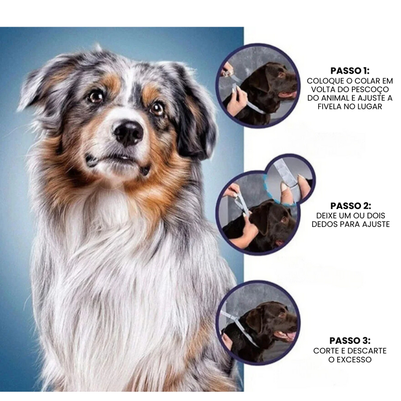 Coleira Repelente Antiparasitário para Proteção Eficaz Contra Pulgas e Carrapatos