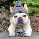 Gorro de Inverno com Capuz para Cachorros – Conforto e Estilo para Seu Pet