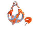 Conjunto Comfort Peitoral e Guia para Cachorros – Conforto e Segurança nas Caminhadas