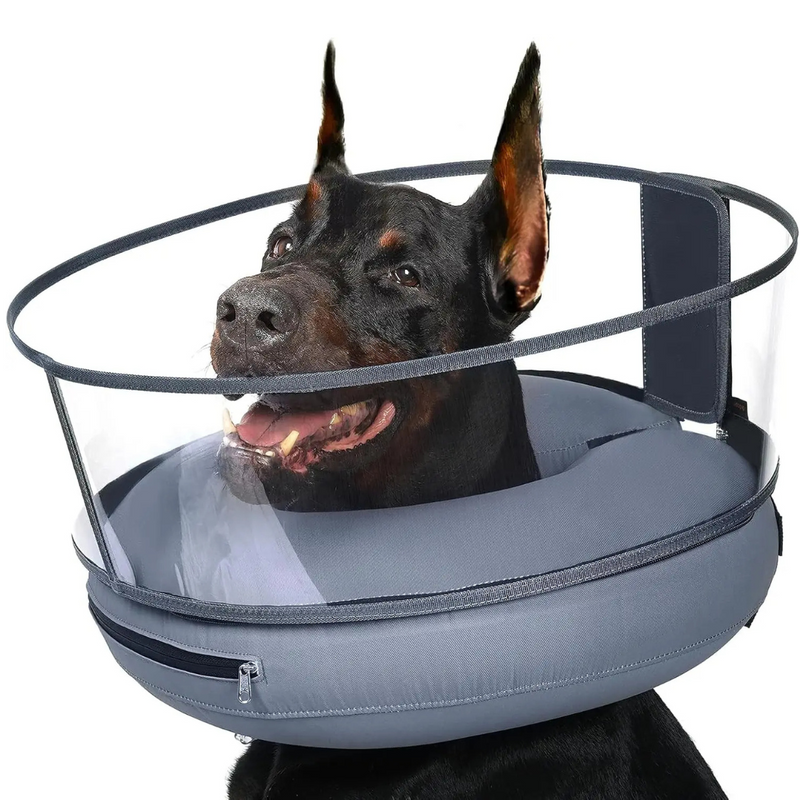 Colar Inflável Confortável com Formato de Donut para Cães em Recuperação