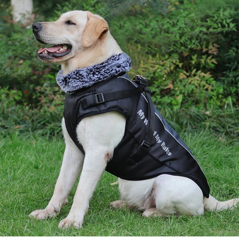 Jaqueta Impermeável com Gola: Proteção e Conforto em Cada Aventura