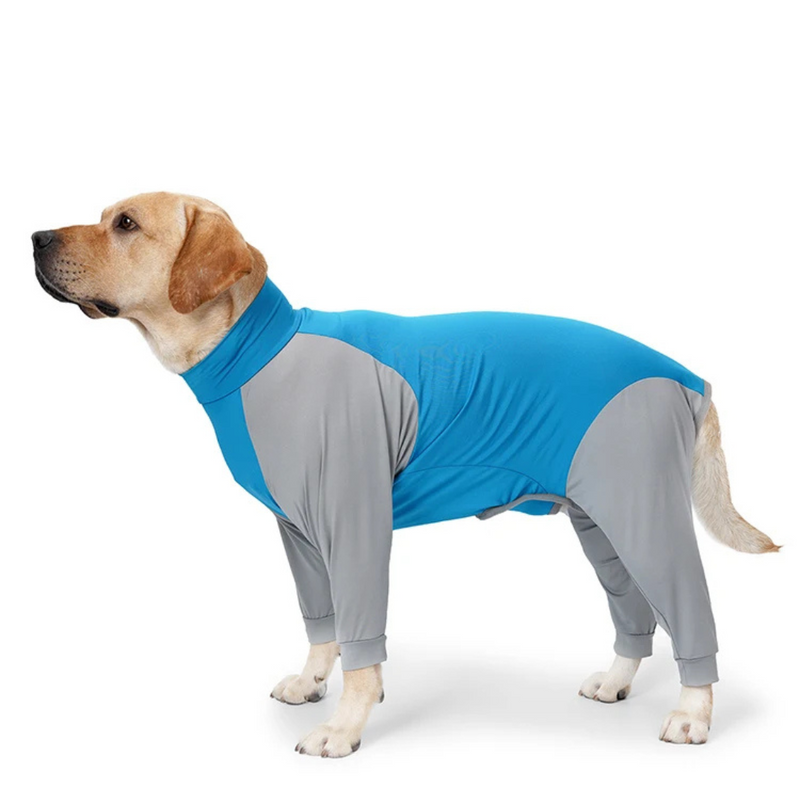 Confortável Pijama Pós Cirúrgico para Cachorros com Mangas Longas