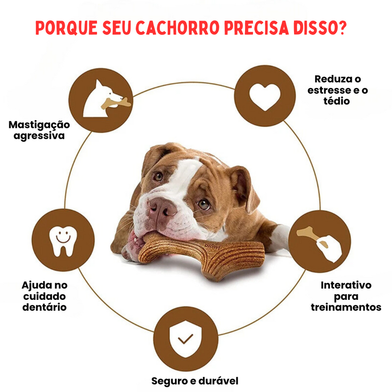 Mordedor Ecológico em Madeira Durável para Conforto e Segurança