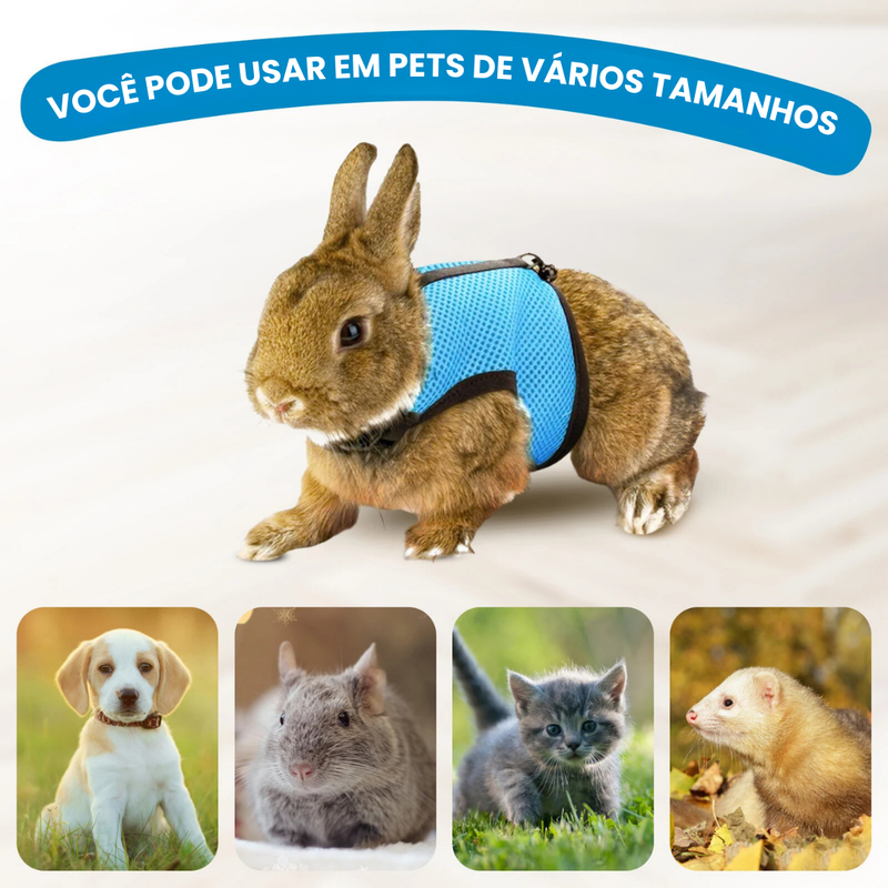 Coleira Peitoral Ajustável e Guia para Conforto e Segurança de Seu Coelho