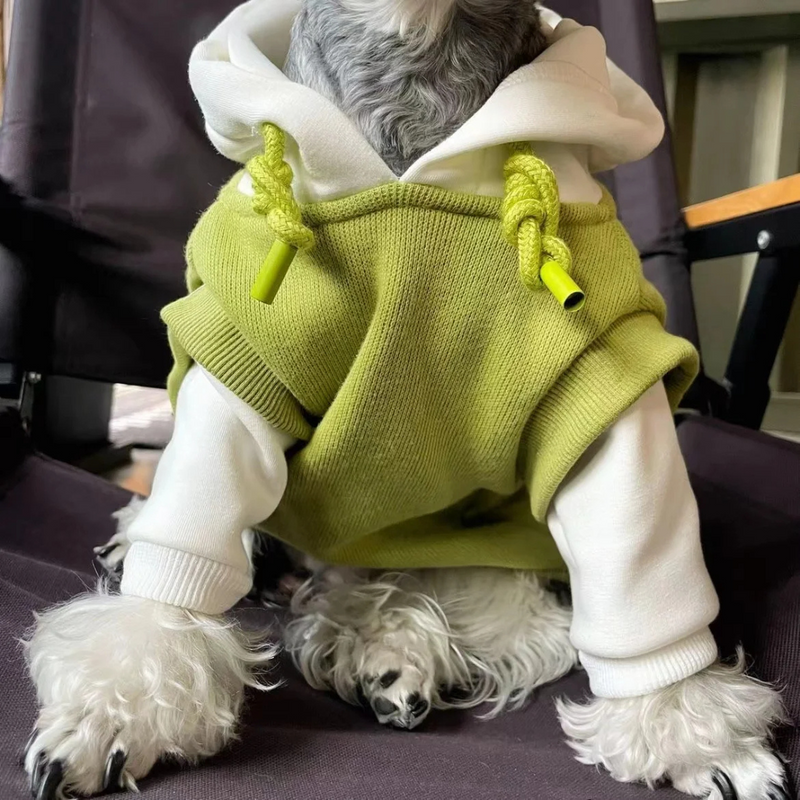 Casaco Moletom com Capuz para Cachorros: Conforto e Estilo em Cada Passeio