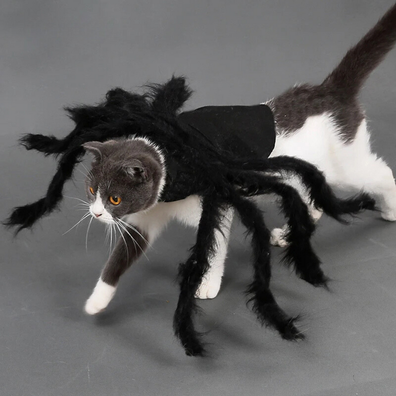Fantasia de Aranha Divertida para Cachorros e Gatos – Transforme o Halloween em Diversão