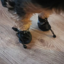 Botinha Meia Pet Antiderrapante Impermeável: Conforto e Proteção em Dias de Chuva e Lama