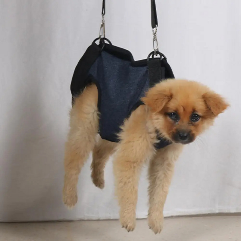 Cinta de Levantamento para Cães: Arnes Ajustável e Respirável para Conforto e Praticidade