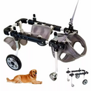 Cadeira de Rodas Ajustável para Proporcionar Liberdade às Patas Traseiras de Seu Cão