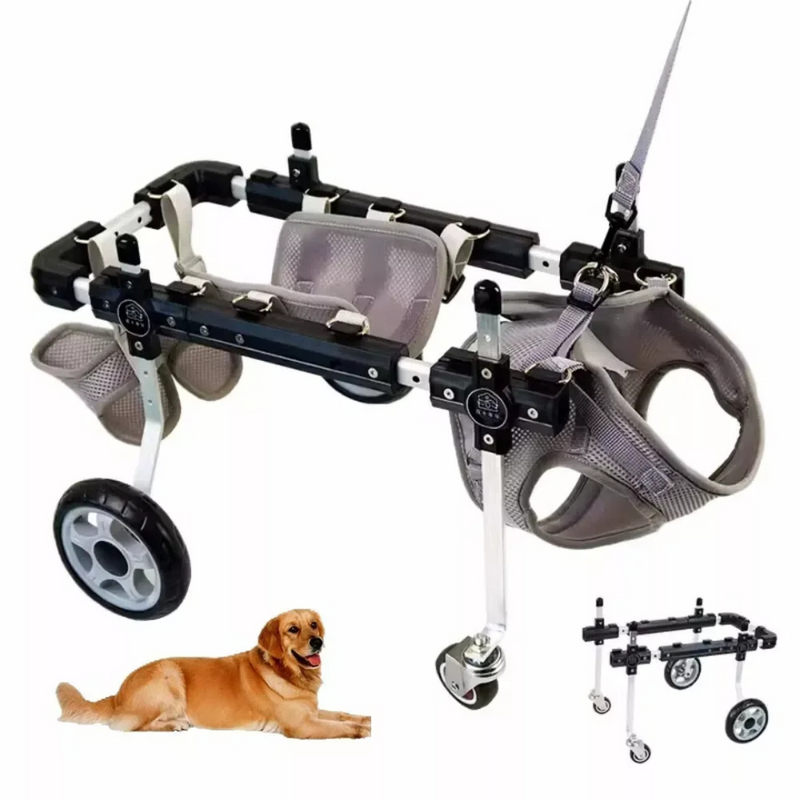 Cadeira de Rodas Ajustável para Proporcionar Liberdade às Patas Traseiras de Seu Cão