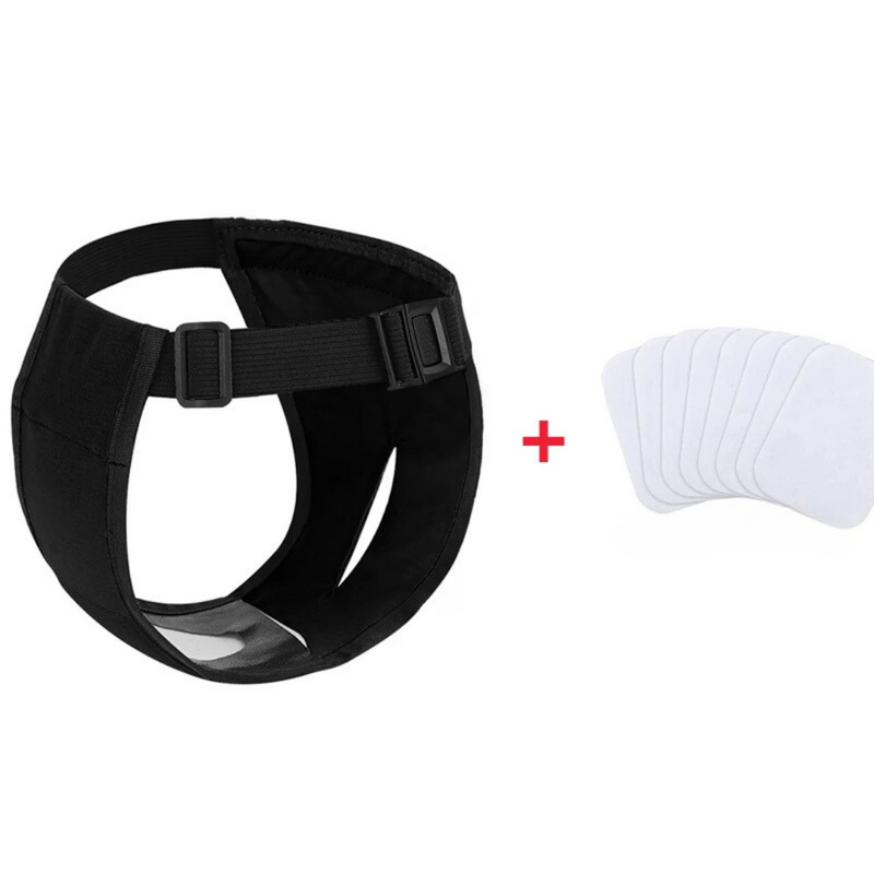 Fralda Higiênica Pet Ajustável com 8 Refil Laváveis para Conforto e Proteção de Cadelas em Cio