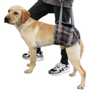 Sling Ajustável para Conforto de Cachorros Idosos com Dificuldades de Mobilidade