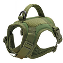 Arnês Tático para Gatos: Segurança e Liberdade em Cada Passeio