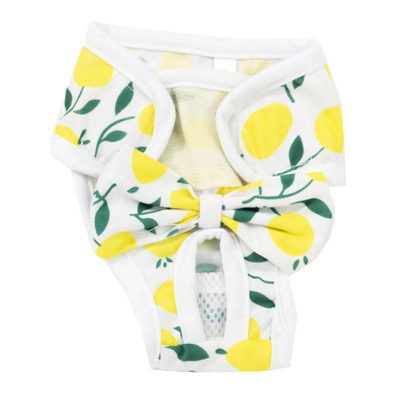 Calcinha Absorvente Lavável para Pets: Conforto e Praticidade no Dia a Dia