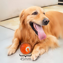 **Brincadeira Inteligente e Interativa para Pets com Revestimento em Silicone**