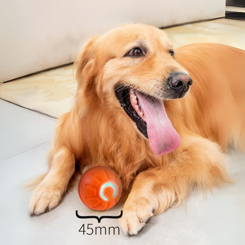**Brincadeira Inteligente e Interativa para Pets com Revestimento em Silicone**