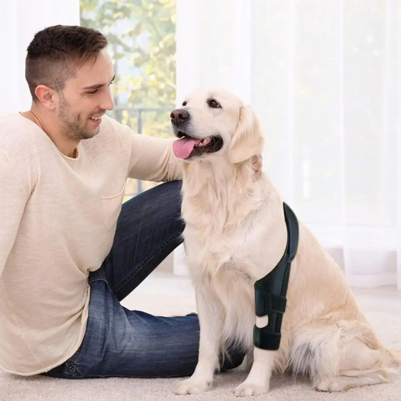 Joelheira Ortopédica para Cachorros: Conforto e Mobilidade para Pets com Dificuldade de Andar