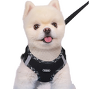 Coleira Peitoral Supet com Guia: Conforto e Liberdade para Seu Cachorro