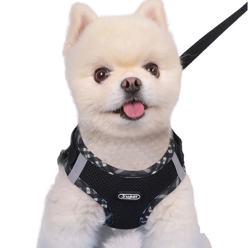 Coleira Peitoral Supet com Guia: Conforto e Liberdade para Seu Cachorro