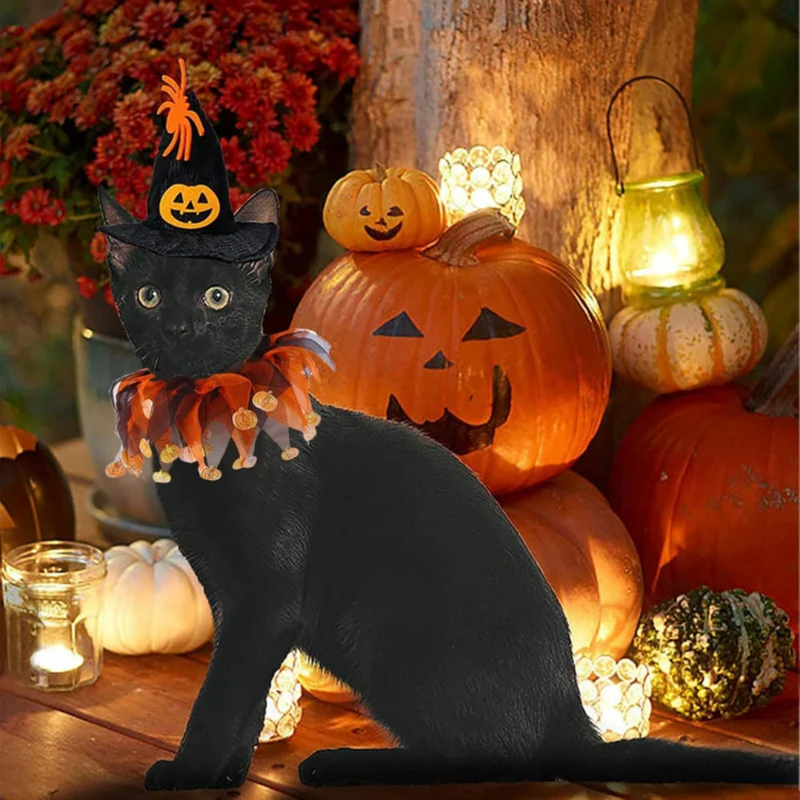 "Fantasia de Halloween para Pets com Chapéu e Coleira Ajustáveis em Estilo Abóbora" 

**Produto que Transforma a Hora do Halloween em Diversão e Conforto para Seu Pet**
