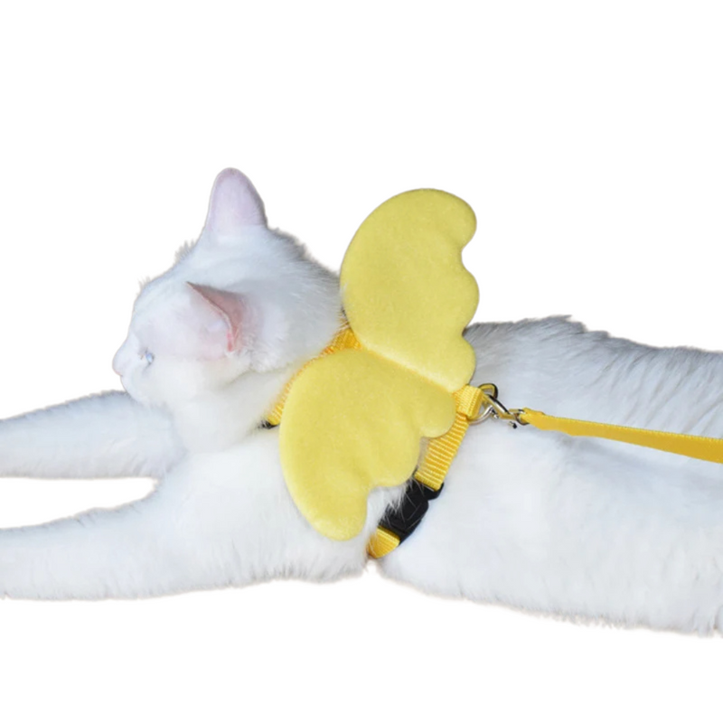 Peitoral Com Asas de Anjo e Guia para Gatos e Cães: Conforto E Estilo Para Seus Passeios