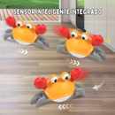 Brinquedo Interativo para Pets: Caranguejo com Sons Divertidos