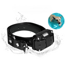 Coleira de Treinamento à Prova D'Água com Alcance de 800 Metros para Conquista e Liberdade
