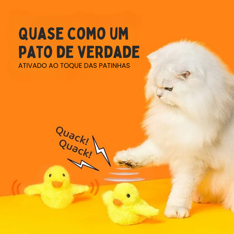 Brinquedo Interativo Elétrico Pintinho: Diversão e Estímulo para Gatos