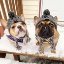 Gorro de Inverno com Capuz para Cachorros – Conforto e Estilo para Seu Pet
