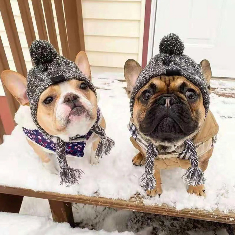 Gorro de Inverno com Capuz para Cachorros – Conforto e Estilo para Seu Pet