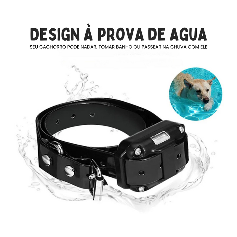 Coleira de Treinamento à Prova D'Água com Alcance de 800 Metros para Conquista e Liberdade