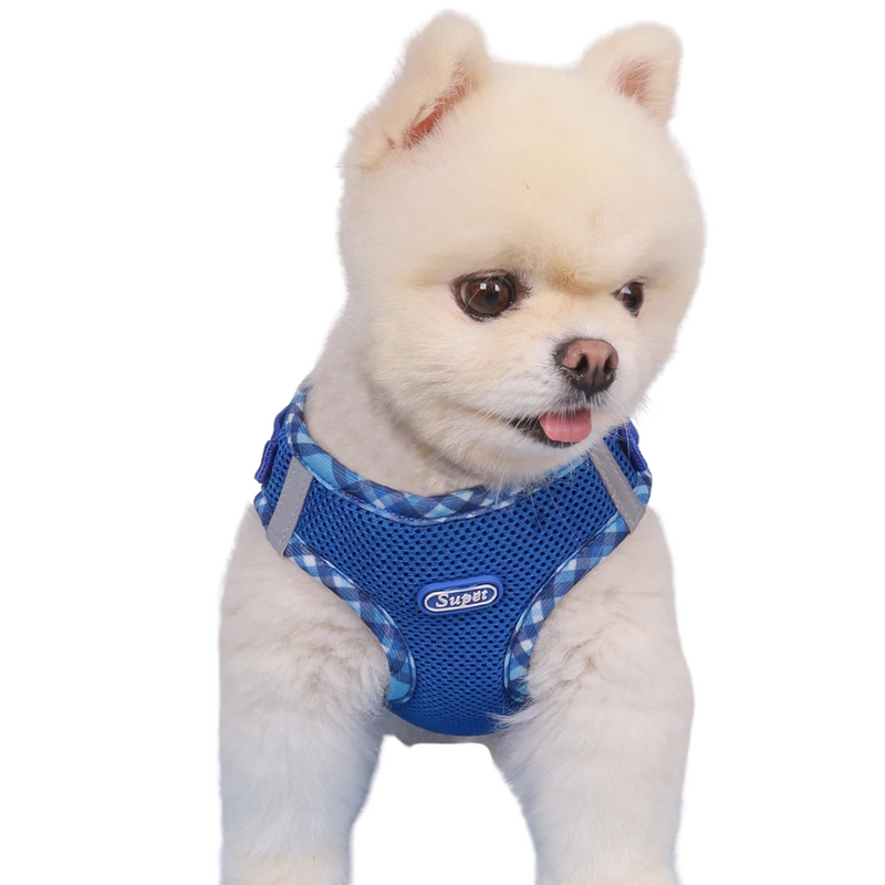 Coleira Peitoral Supet com Guia: Conforto e Liberdade para Seu Cachorro
