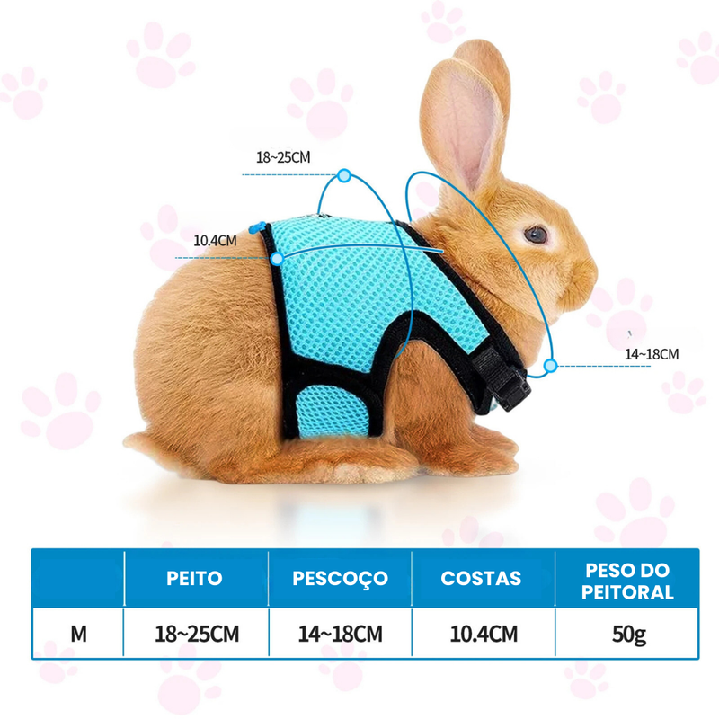 Coleira Peitoral Ajustável e Guia para Conforto e Segurança de Seu Coelho