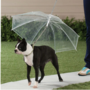 Coleira Translucida Invertida Com Guia Para Seu Pet: Conforto e Proteção em Dias Chuvosos