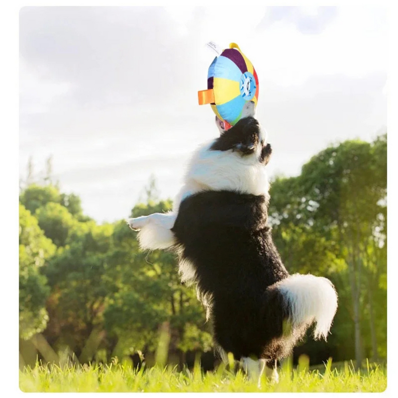 Disco Voador Tecido: Brinquedo Confortável e Mordedor para Cachorros