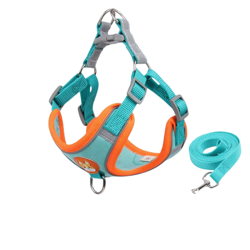 Conjunto Comfort Peitoral e Guia para Cachorros – Conforto e Segurança nas Caminhadas