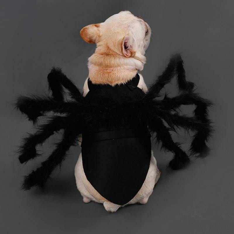 Fantasia de Aranha Divertida para Cachorros e Gatos – Transforme o Halloween em Diversão