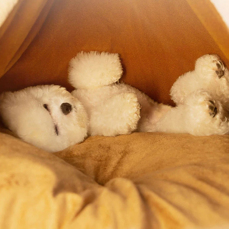 Cabana Aconchegante para Pets com Almofada Confortável